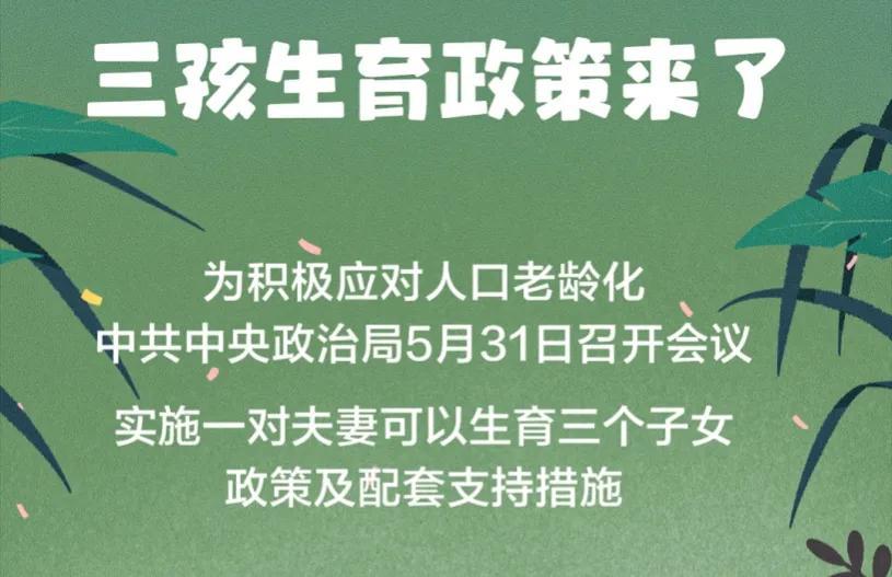 临沂三胎政策最新动态全面解析