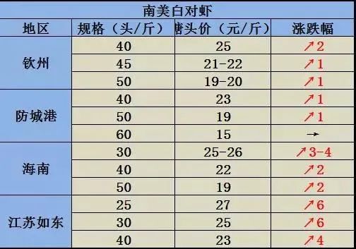 南美对虾价格走势分析，最新动态、市场趋势与影响因素探讨