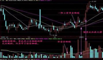 金蜘蛛最新招聘信息全面解析