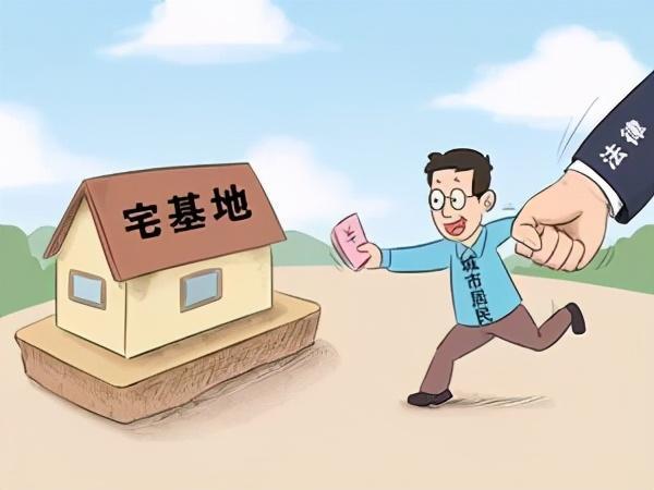 陕西宅基地最新政策解读，政策细节与影响分析