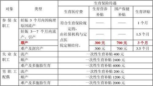 最新生育津贴政策深度解析，鼓励生育与保障女性权益的积极作用及调整趋势（2020版）