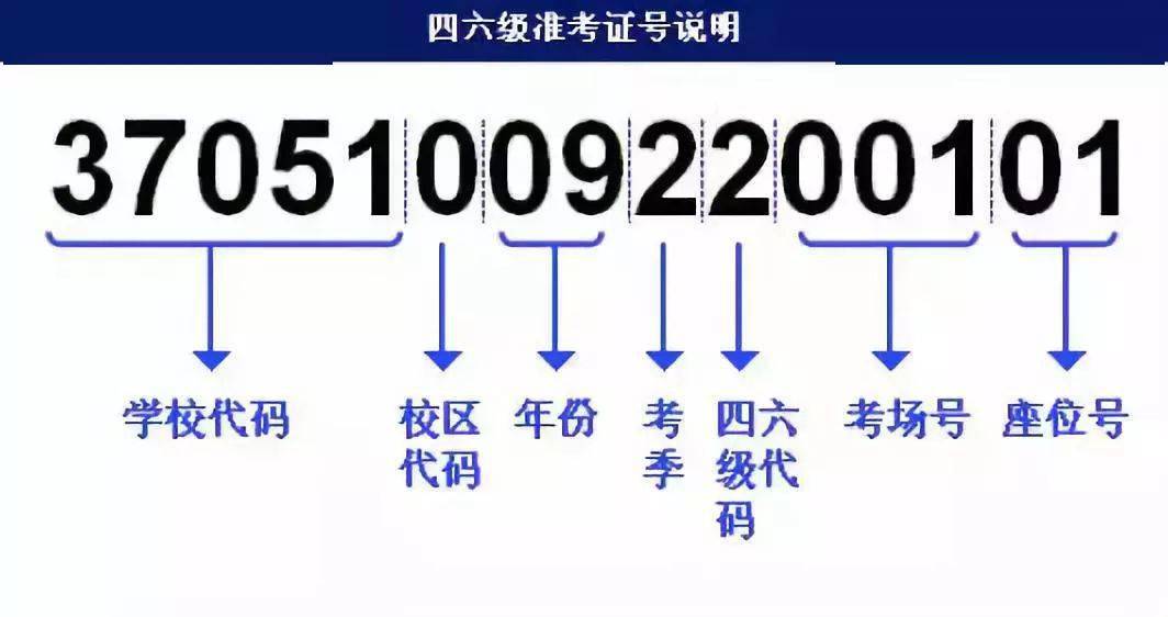 新奥最精准资料大全,快捷方案问题解决_ChromeOS90.345