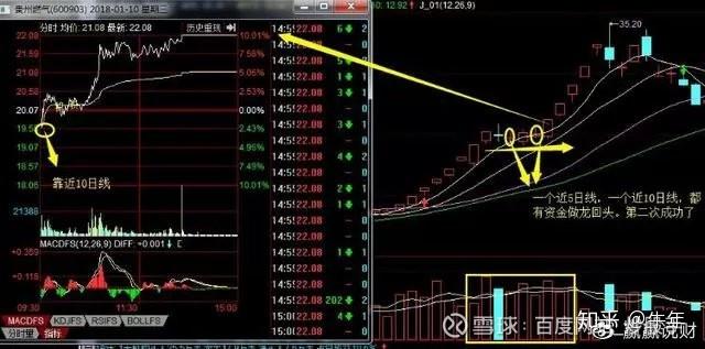 2024跑狗图自动更新,深度分析解释定义_顶级款92.545