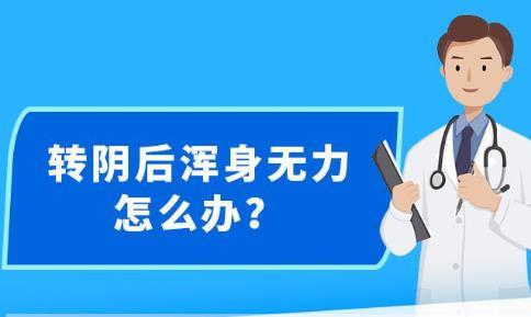 新澳精准资料免费大全,可靠操作方案_静态版79.821