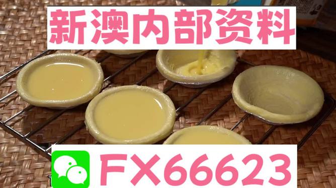 新澳精准资料免费提供网站,动态说明解析_薄荷版74.27