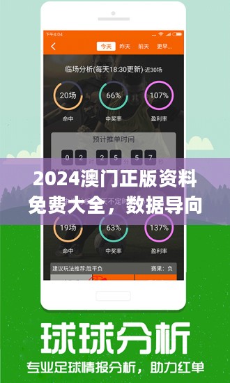 新澳2024年精准正版资料,调整计划执行细节_1080p50.677