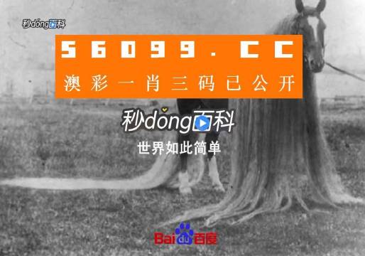 澳门一肖一码一中一,创新解读执行策略_yShop44.684