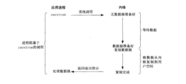 通草的功效与作用能通输卵管堵塞,全面数据策略解析_轻量版22.599