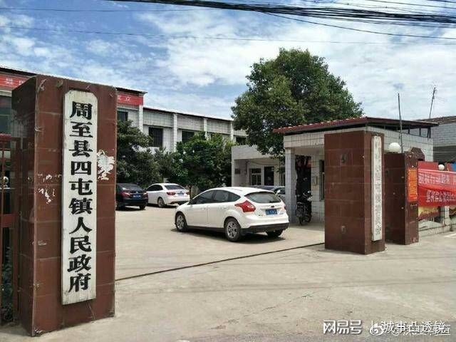 梧桐树村委会新项目启动，乡村振兴新动力源泉