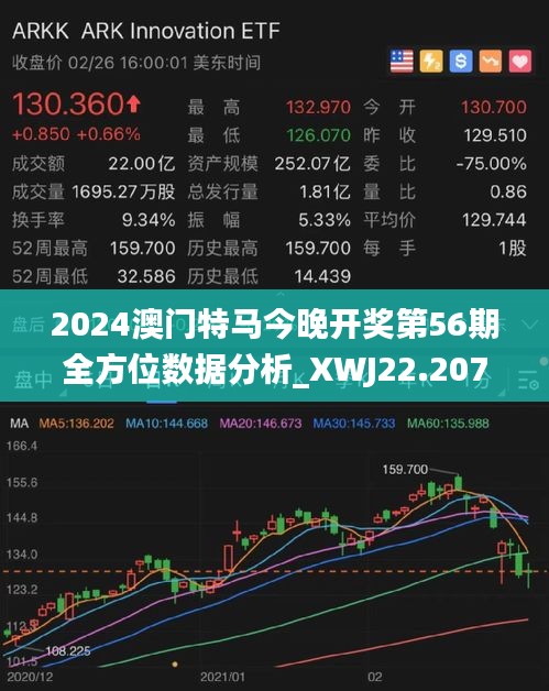 2024年今晚澳门开特马,灵活性方案解析_Prime32.824