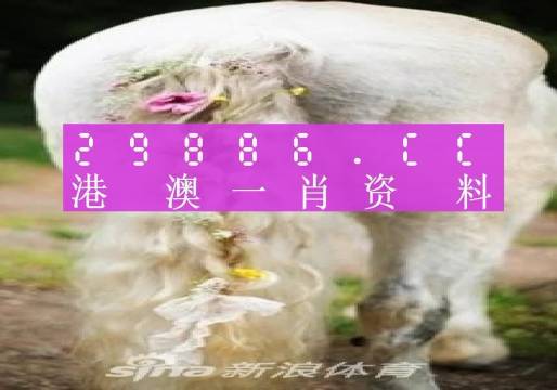 澳门一肖一码一l必开一肖,综合研究解释定义_静态版27.614