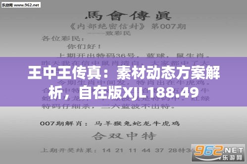 7777788888王中王传真,实际应用解析说明_潮流版91.813