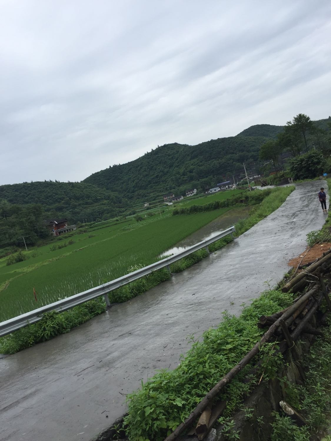 秦家沟村民委员会天气预报更新通知