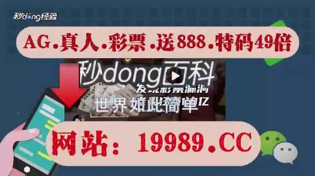 新澳门开奖结果2024开奖记录查询,实时数据解释定义_Advance78.765