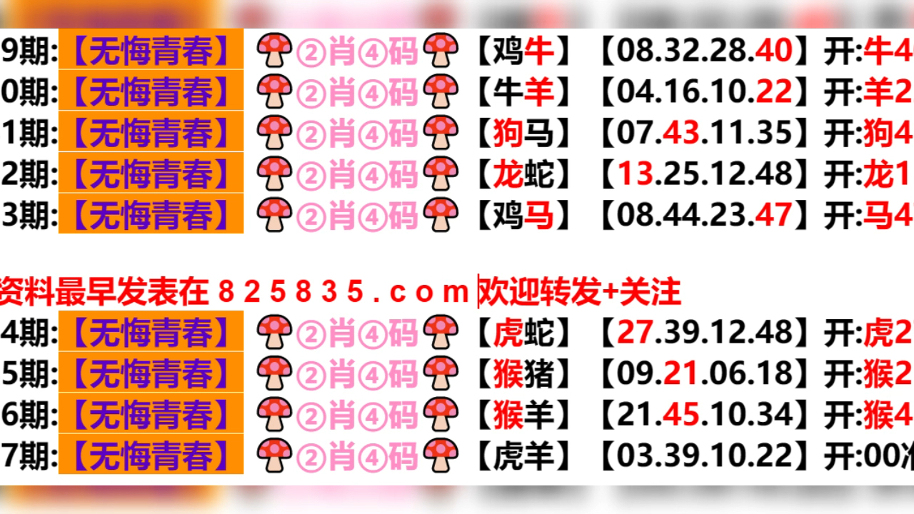 2024澳门天天六开彩新澳开奖记录,多元化方案执行策略_Z82.836