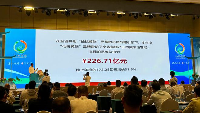 2024新澳精准资料大全,统计研究解释定义_冒险版73.226