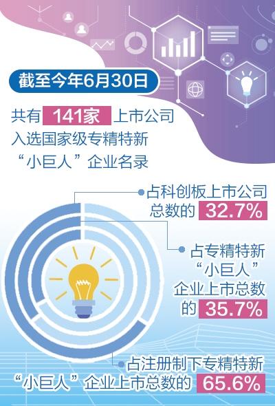 2024香港资料大全免费,创新解析执行_Advance86.107