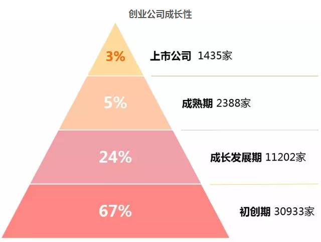 新澳天天管家婆免费资料,实时数据解释定义_纪念版11.62