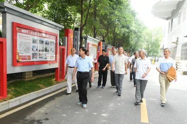 居巢区特殊教育事业单位项目进展深度解析报告