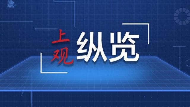 澳门正版资料免费精准,快速响应方案落实_pro44.687