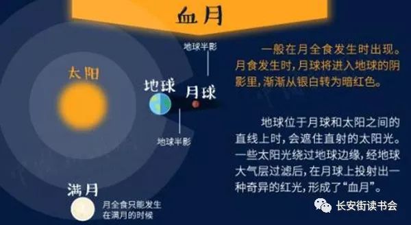 新澳今晚开奖结果查询,科学化方案实施探讨_影像版13.200