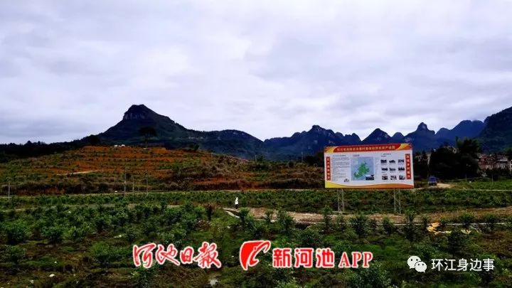 塘果村，最新发展动态与社区更新报道