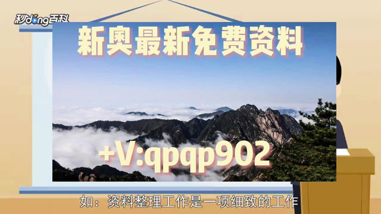 2024新澳正版免费资料大全,快速设计问题计划_手游版72.805