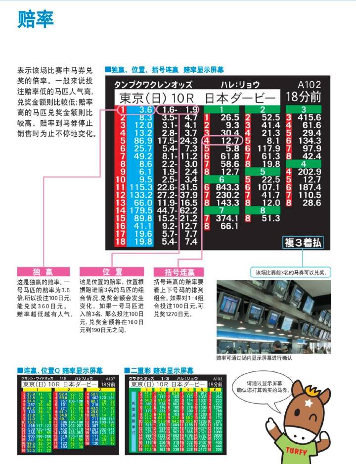 2024年12月13日 第64页