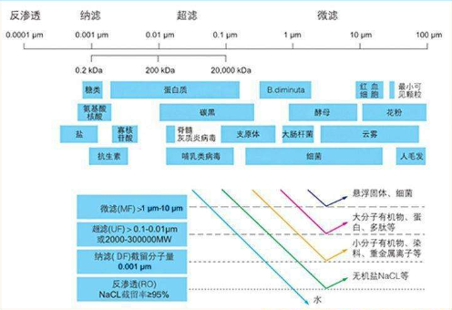 香港二四六开奖资料大全_微厂一,稳定解析策略_影像版60.250