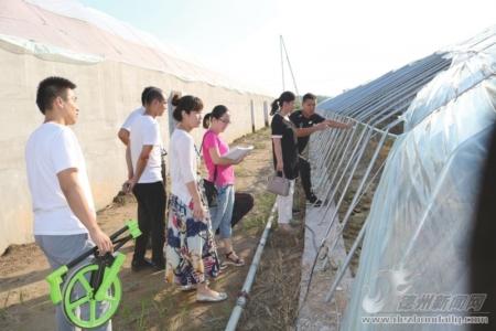 德城区审计局深化审计职能，助力区域经济发展新项目启动