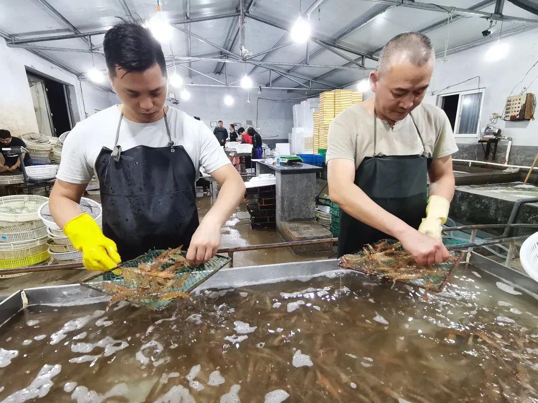 鳌山卫镇最新消息速递