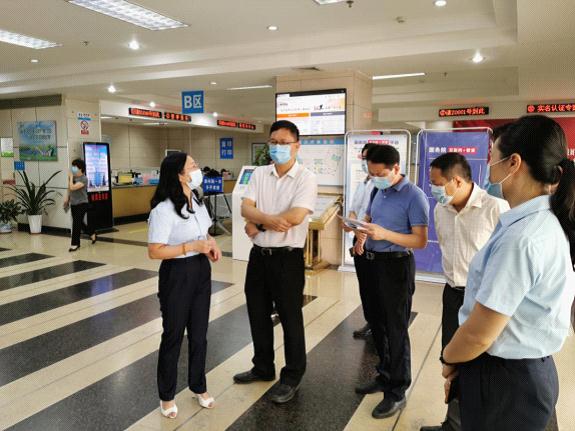 城区数据与政务服务局新项目，重塑城市服务蓝图，开启未来之旅