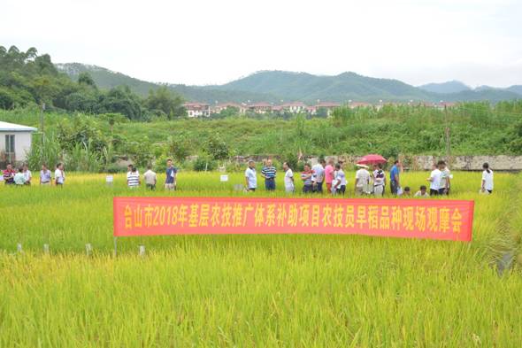 西沙群岛农业农村局推动农业现代化助力乡村振兴项目启动