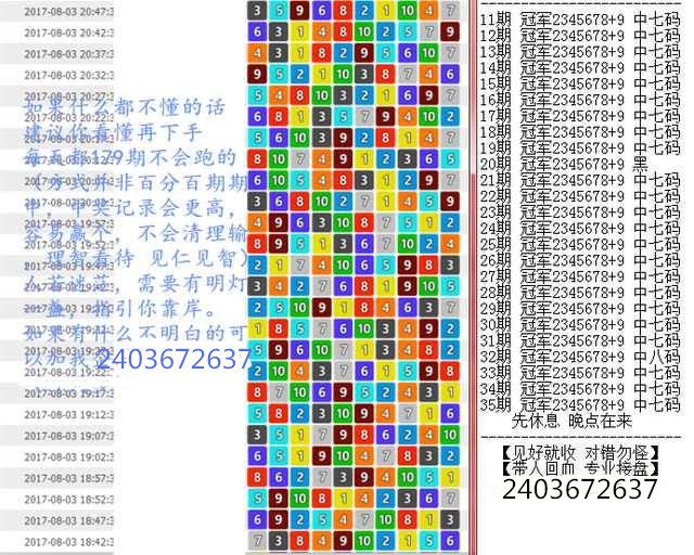 新澳门王中王100%期期中,定制化执行方案分析_The51.450