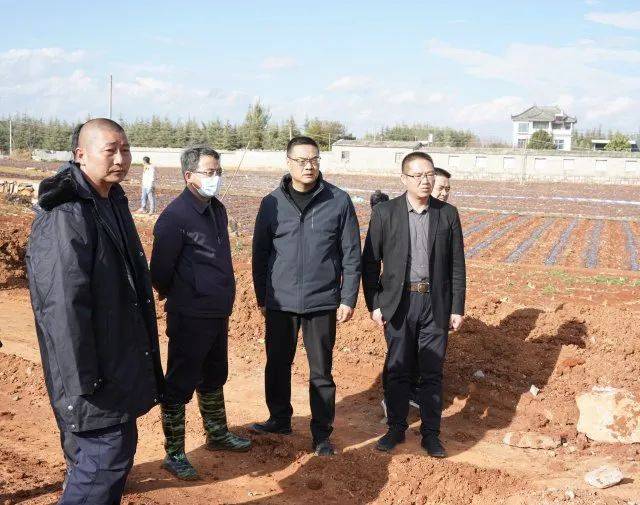 陆良县住房和城乡建设局领导团队全新亮相，未来展望与责任担当