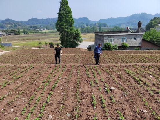 城中区农业农村局新项目推动农业现代化与乡村振兴协同发展