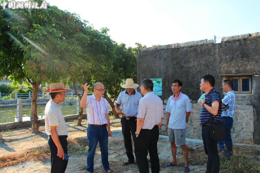 埔寨农场最新动态报道