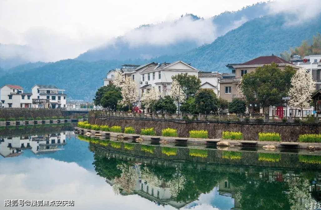 立定村最新新闻报道