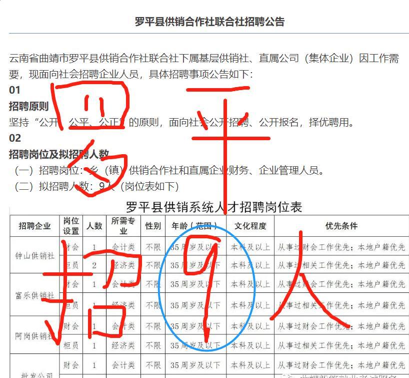 普松村最新招聘信息全面解析