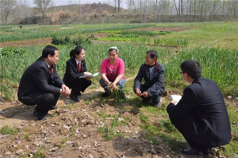 白土岗乡最新交通动态报道