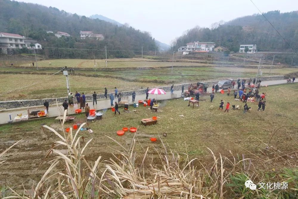 理公港镇新项目，引领地区发展的强大动力源泉