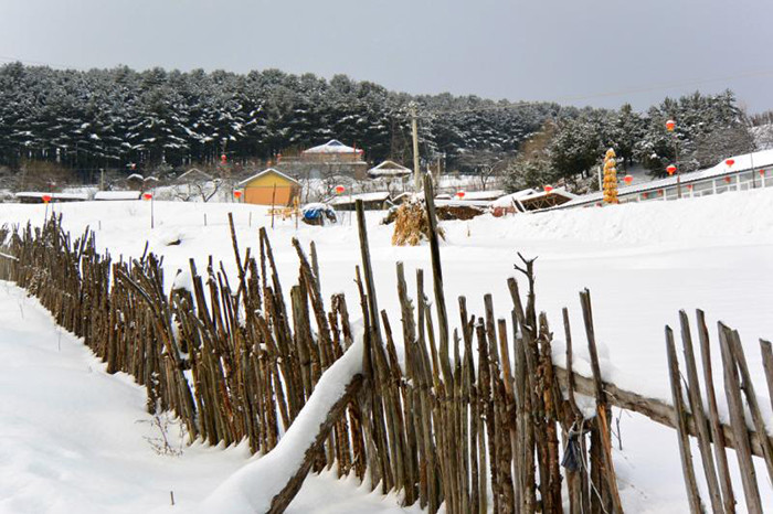 洼雪村交通改善助力迈向新征程的最新报道