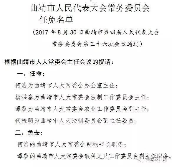 玉才村委会人事大调整，重塑领导团队，村级事务迎来新发展