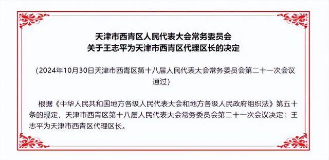 西青区教育局人事任命重塑教育格局，引领未来教育新篇章